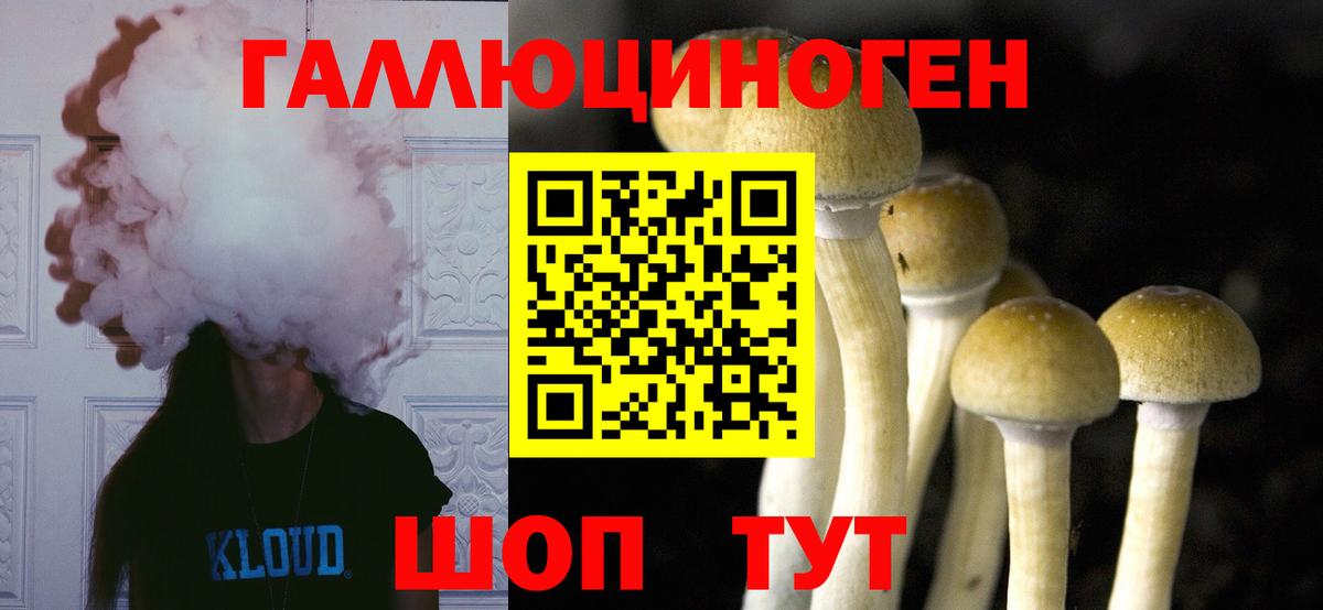 купить наркотик  Вход с VPN  Артём  Псилоцибиновые грибы Psilocybine cubensis 